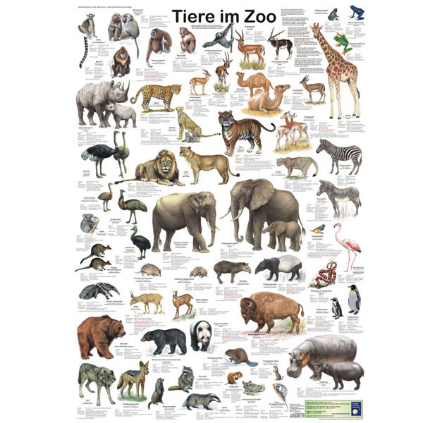 Bio-Poster "Tiere im Zoo"